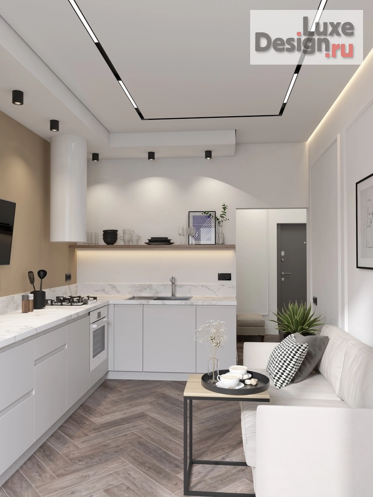 Дизайн интерьера однокомнатной квартиры "Куня, прихожая и балкон в однокомнатной квартире" (фото 4)