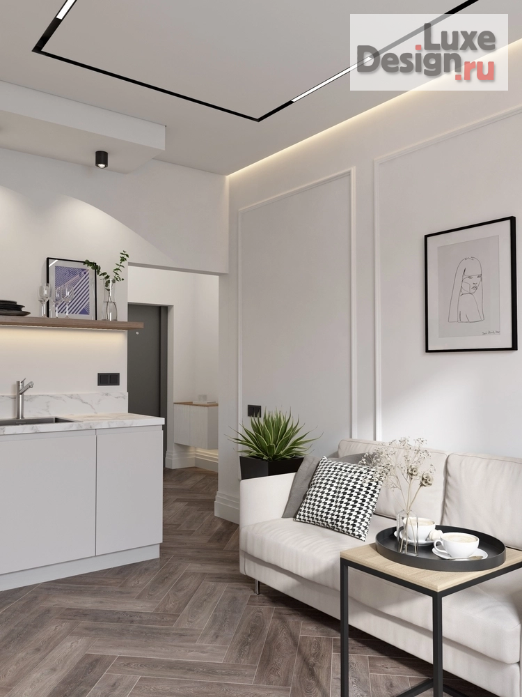 Дизайн интерьера однокомнатной квартиры "Куня, прихожая и балкон в однокомнатной квартире" (фото 8)